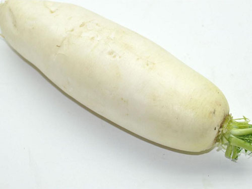 白蘿卜
